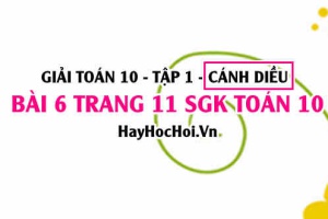 Giải bài 6 trang 11 Toán 10 tập 1 SGK Cánh Diều